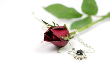 Red rose flowers with necklace isolated on white background, gifts for St. Valentine Dayの写真素材