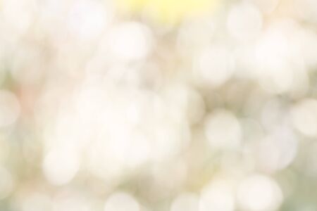 Nature Blurred and bokeh backgroundの写真素材