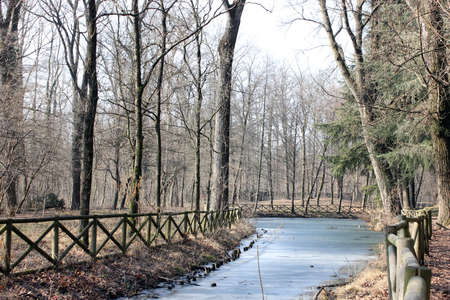 small frozen lake in city parkの写真素材
