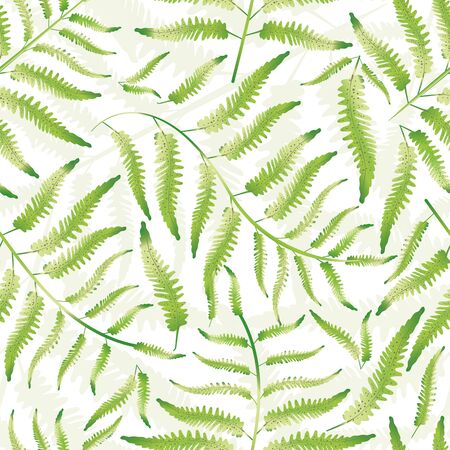 Fern vector seamless pattern background. Hand drawn forest plant frond backdrop. Delicate green white overlapping botanical foliage design. Dense all over print for nature health concept packagingのイラスト素材
