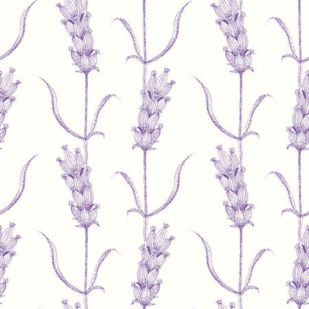 Lavender line art seamless vector pattern background. Hand drawn purple blossoms on stems with leaves on white backdrop. Linear geometric botanical herb vintage design. Nature garden repeat for summerのイラスト素材
