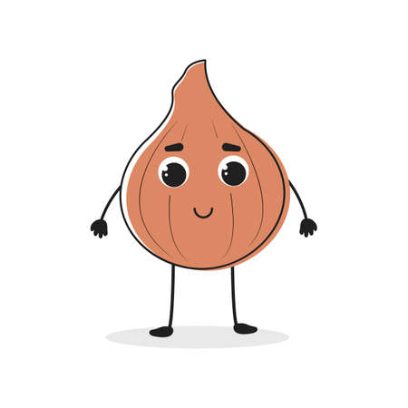 Onion. Cartoon drawing style. Cute funny vegetable. Vector illustration for menu, packaging,  T-shirts.のイラスト素材