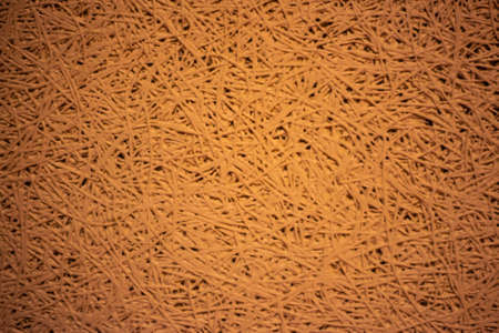 orange background in the form of intersecting curved lines or cobwebsの写真素材