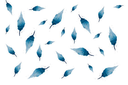 Illustration, pattern, watercolor feathers on a white backgroundの写真素材