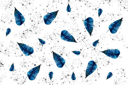Illustration, pattern, watercolor feathers on a white backgroundの写真素材