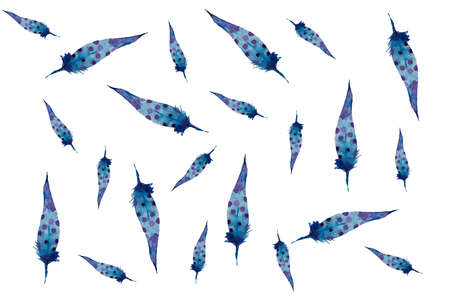 Illustration, pattern, watercolor feathers on a white backgroundの写真素材