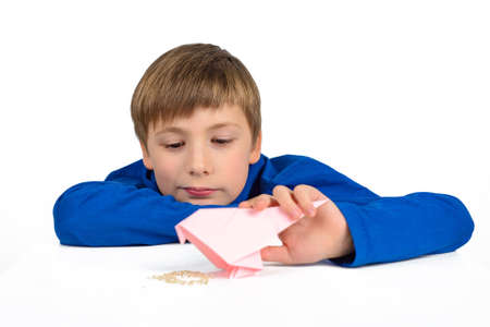 Origami: a schoolboy boy in a blue T-shirt sits at the table and plays with a paper bird, wants to feed herの写真素材