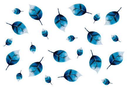Illustration, pattern, watercolor feathers on a white background
