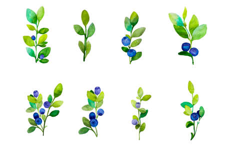 collection, set of blueberry twigs with green twigs and blue and purple berries on a white background, isolated on a white background illustration with watercolor paintsの写真素材