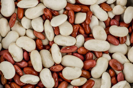 legumes - a source of protein and micronutrients: red and white beans; vegetarian diet and a healthy...