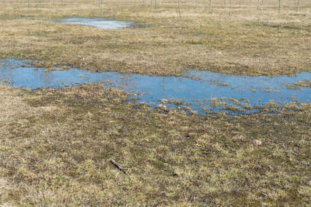 field with yellow dry grass and water with melted ice