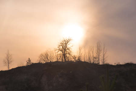 sunset in the clouds over a picturesque hill with trees and bushes in summer warm eveningの写真素材