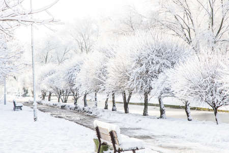 winter park, snow-covered trail above the river, beautiful tree-lined walkwayの写真素材