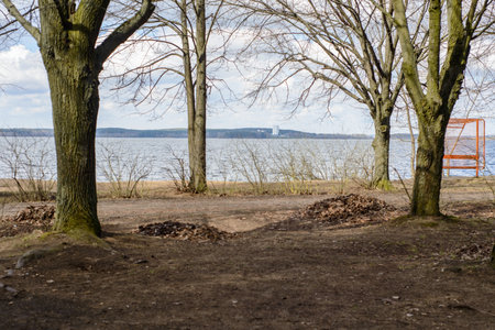 autumn day in the Park by the lake, bare trees and bushes, the leaves are carefully collected in heaps, the road clean and well maintainedの写真素材