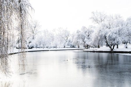 winter park, trees and a bench covered with snow, the river is covered with iceの写真素材