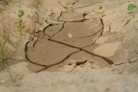 dry cracked brown earth with some grass on the sides