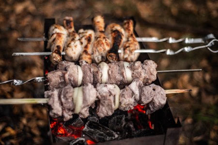 shish kebab, pieces of meat with onion rings on skewers fry in charcoal grillsの写真素材