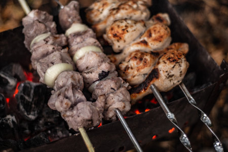 shish kebab, pieces of meat with onion rings on skewers fry in charcoal grillsの写真素材