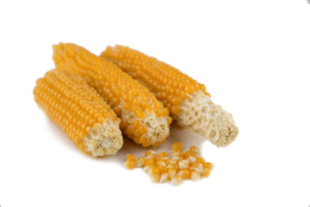 making popcorn at home: corn on the cob well dried are white, a few grains are separated and lie...