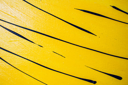 background, texture of brush strokes and splashes of paint, design elementsの写真素材