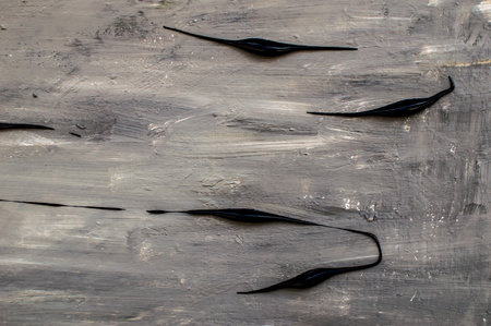 abstract black paint on a wooden surface, closeup of photo