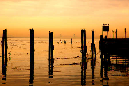 Nautical sunset with Verrazano Bridgeの写真素材