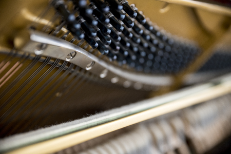 Macro Piano Detailの写真素材