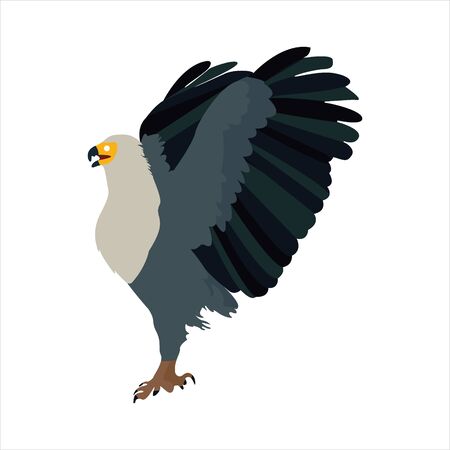Cute animal eagle clip art bird illustration cartoon characterのイラスト素材