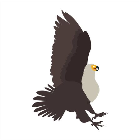 Cute animal eagle clip art bird illustration cartoon characterのイラスト素材