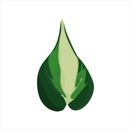 Botanical leaf clip art natural illustrationのイラスト素材