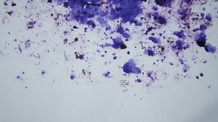 purple dots and white backgroundの写真素材