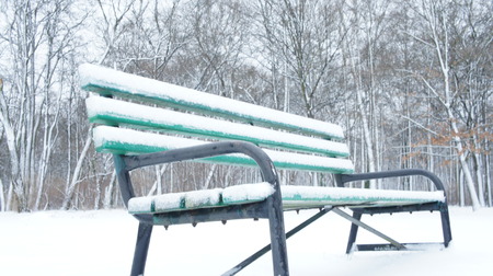 Snow on the bench in winter in park. Tree back groundの写真素材