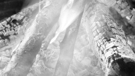 Black and White Burning fire wood. Close-up of glowing coals and fire. as backgroundの写真素材