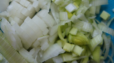 Fresh bulbs of onion, white onion sliceの写真素材