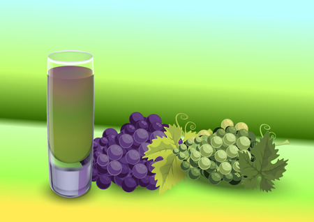 The Grapefruit Drinkのイラスト素材