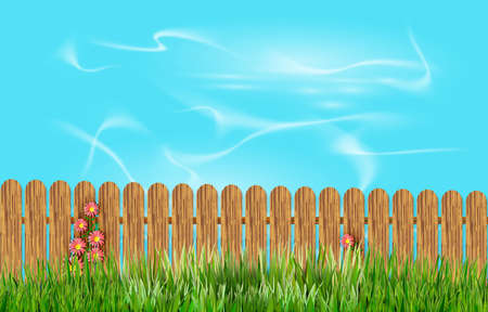 The Skyの写真素材