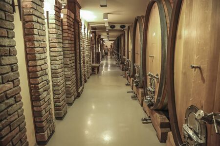 Old wine barrels in a wine cellar