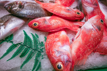 Fresh fish on the market