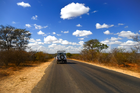 Road in Kruger National park, South Africaのeditorial素材