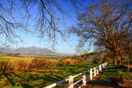 Field in South Africa