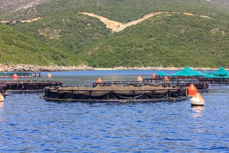 Fish farmの写真素材