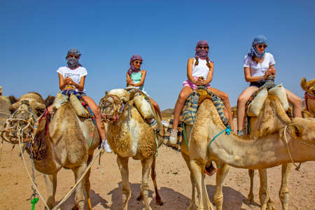 Girls riding camel in the Egyptian desertの写真素材