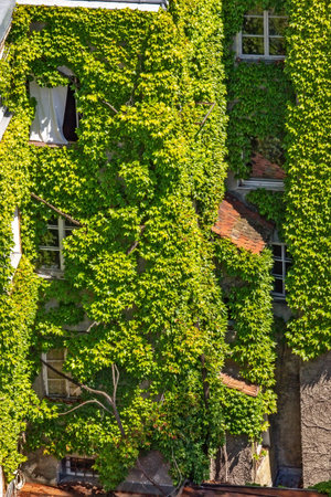 View of the green builing in Innsbruck, Austriaの写真素材