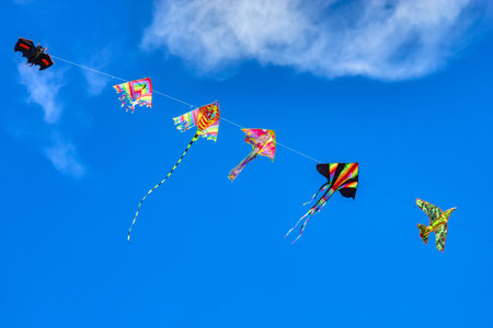 Kids wind kites on the blue sky in the summerの写真素材