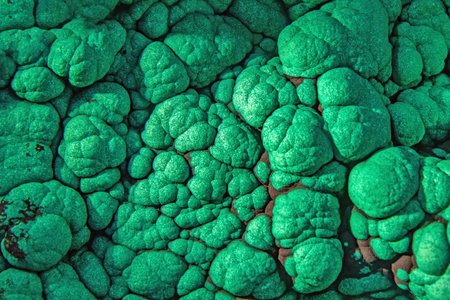 Detail of the raw green malachite mineralの写真素材