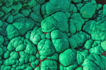 Detail of the raw green malachite mineralの写真素材