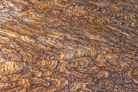 Macro detail of the folded schist metamorphic rockの写真素材