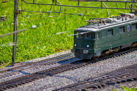 Train in the green scenery miniature - Swissminiature modelの写真素材