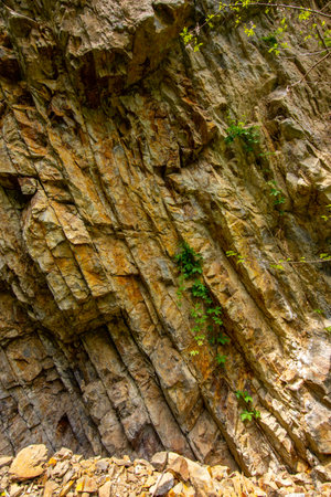 Geological outcrop showcasing layers of Cretaceous limestones, siltstones, and claystonesの写真素材