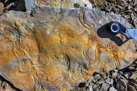 Sedimentary Rock Texture with Magnifierの写真素材
